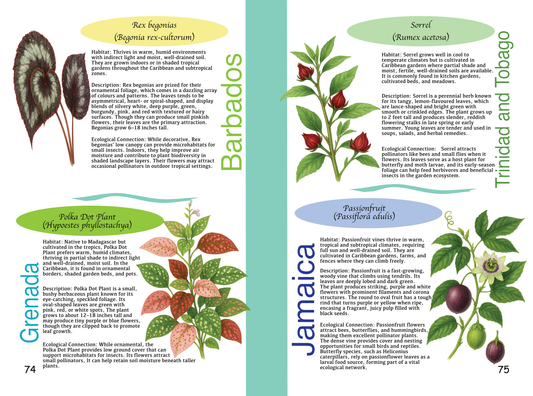 Exciting Plants Of The Caribbean