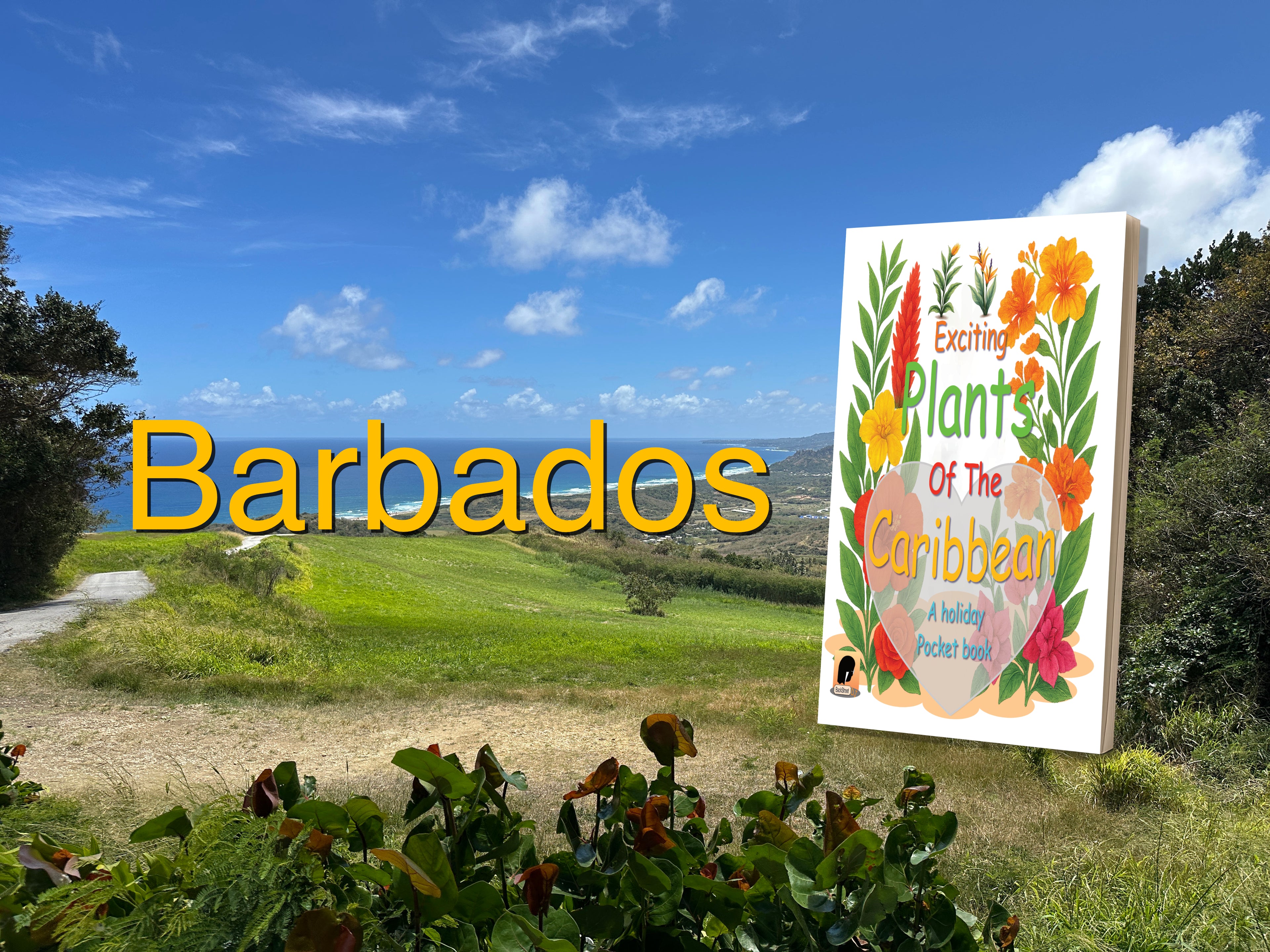 Scenic view of Barbados with a book titled 'Exciting Plants of the Caribbean' in the foreground.