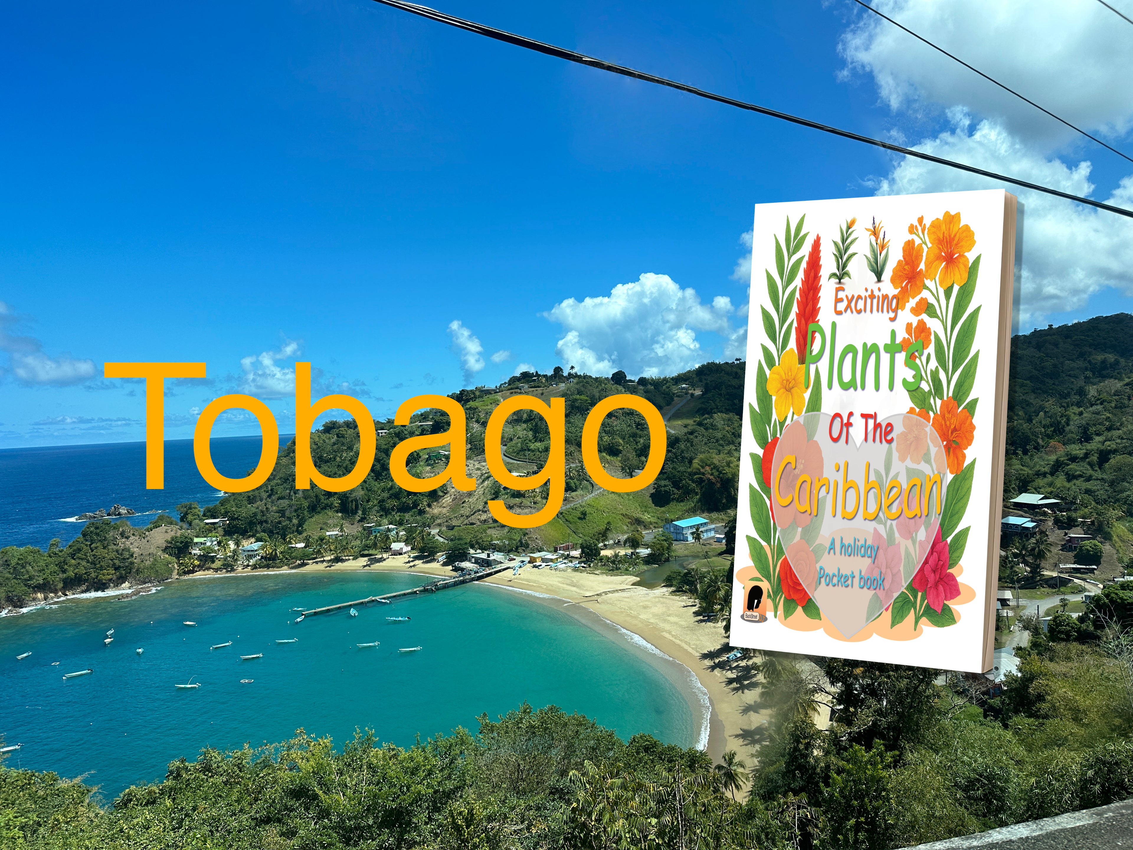 Village by a bay with 'Tobago' text and a book titled 'Exciting Plants of the Caribbean'.